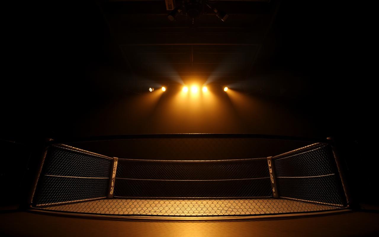 UFC and boxing PPV fight night streaming live on IGIPTV UK
